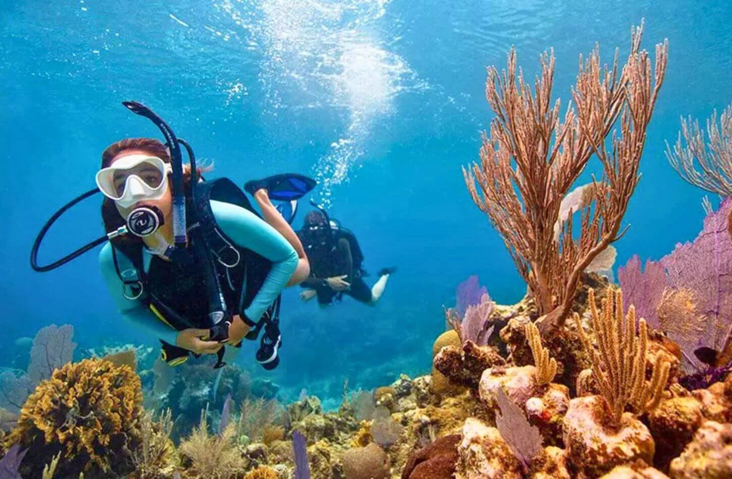 Omans vibrant underwater world