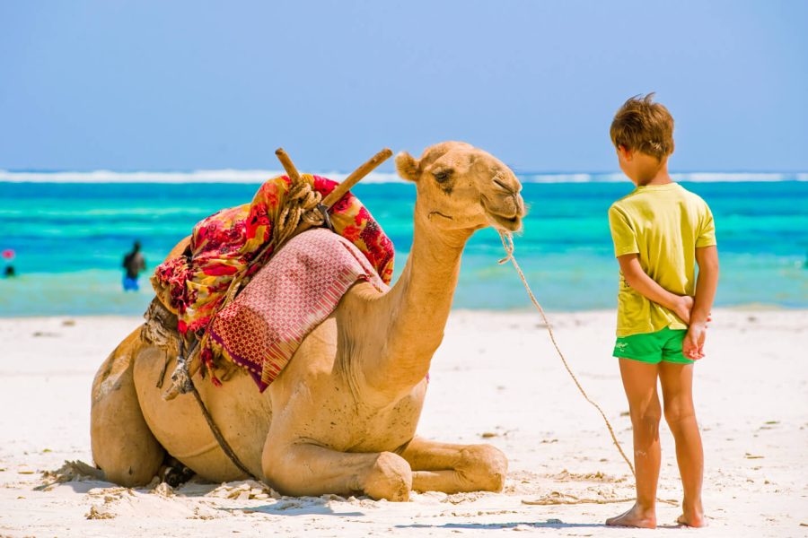 12 Days Cairo and Hurghada with Nile Cruise