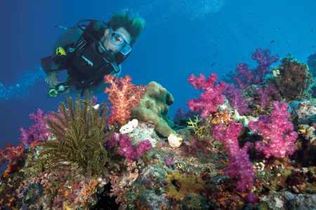 Scuba Diving in Hurghada with Orange Bay