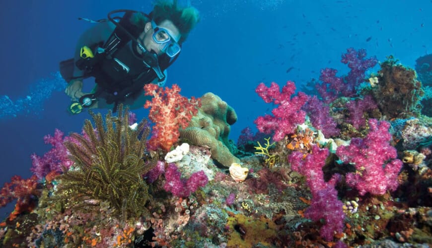 Top Scuba Diving Spots in Egypt: Underwater Adventures in the Red Sea