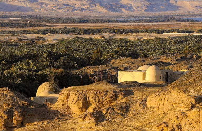 A picture of the wonderful Bahariya Oasis
