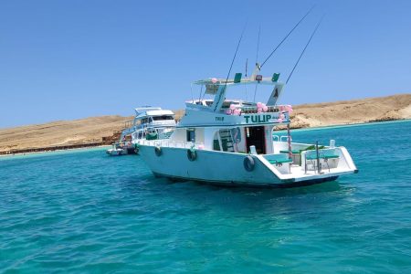 Fishing Trip in Hurghada