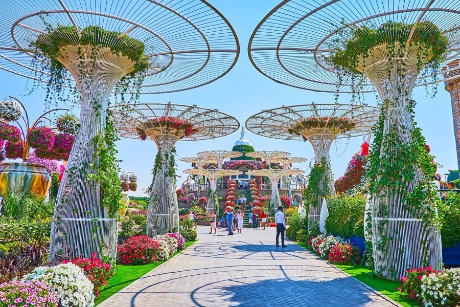 A wonderful picture from inside the Dubai Miracle Garden