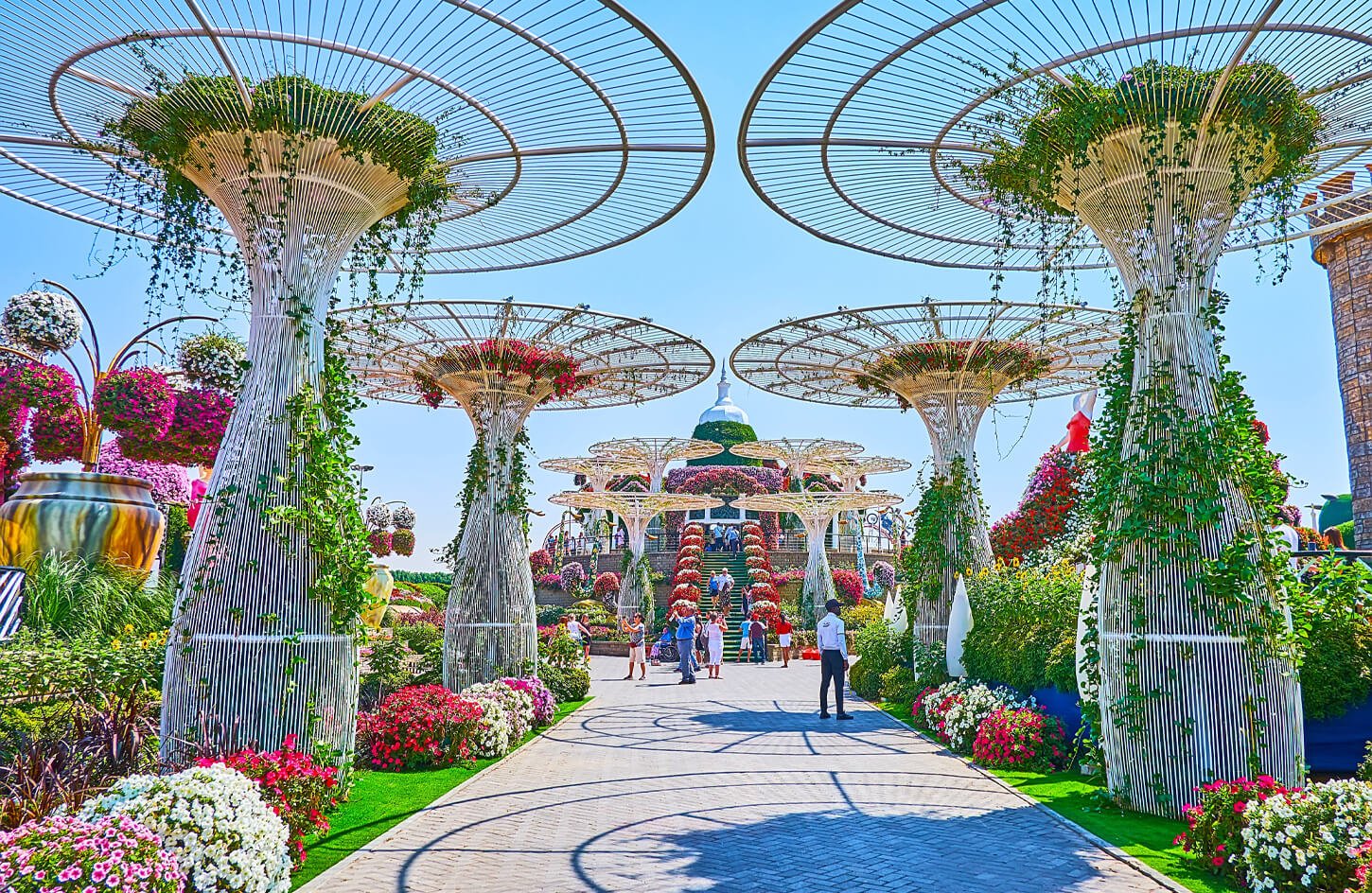 Uma linda foto do interior do Dubai Miracle Garden