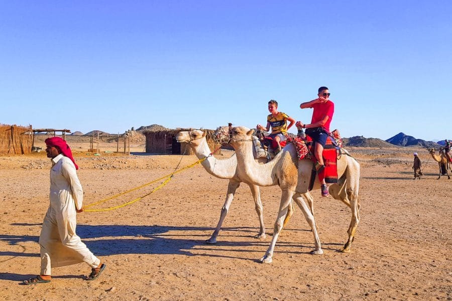 A wonderful picture of the safari with camels in Hurghada