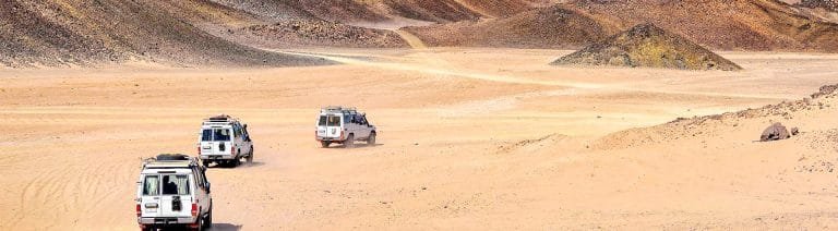 A wonderful shot of some jeeps from one of the safari trips