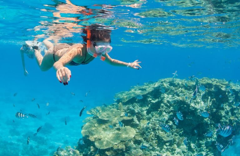 Great picture of a beautiful woman on a Snorkeling trip in Sharm el Naqah