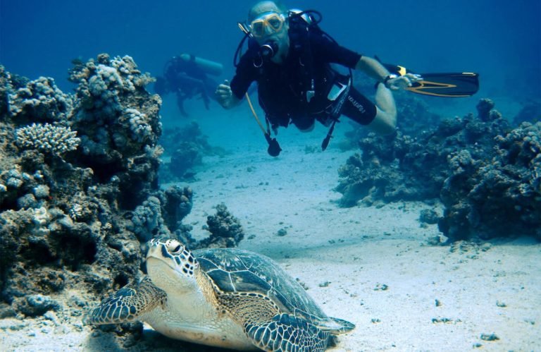 Great picture of tourists on a diving trip in Marsa Alam