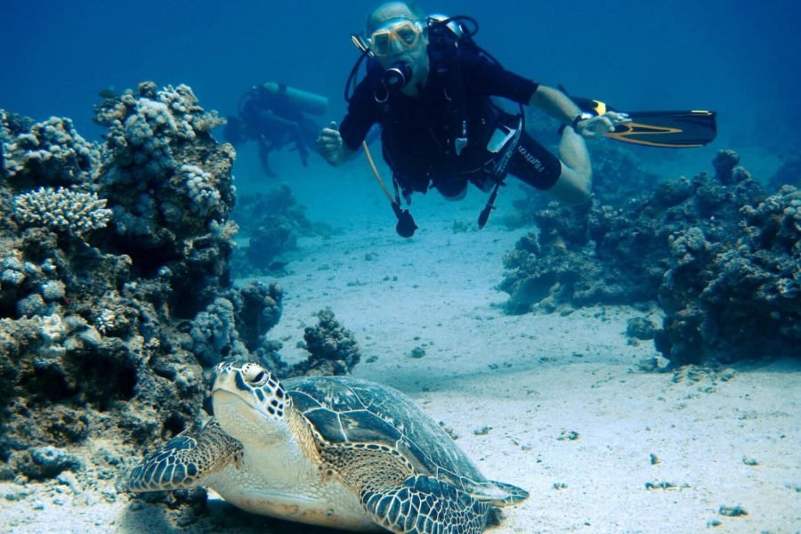 Great picture of tourists on a diving trip in Marsa Alam
