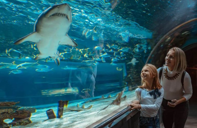 Picture of a woman on a tour of the Grand Aquarium Hurghada