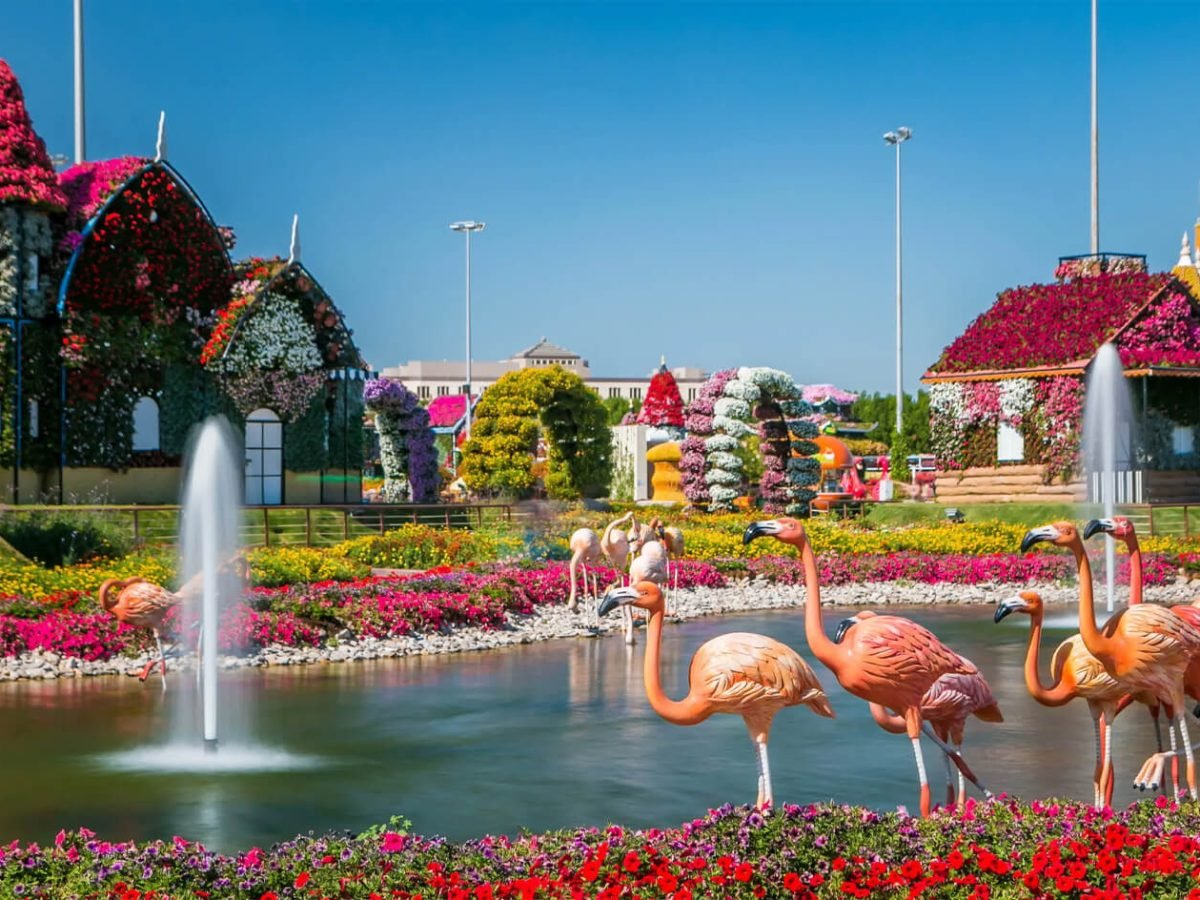 Very beautiful picture from Dubai Miracle Garden
