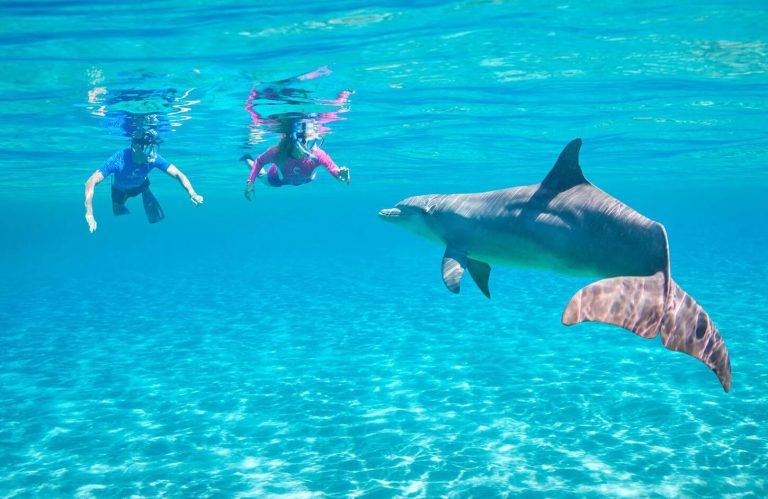 Very beautiful picture of two women on a snorkeling trip