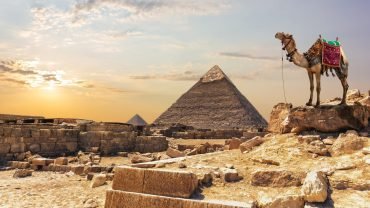 Wonderful pictures of a camel in front of the pyramid of Khafre at sunset