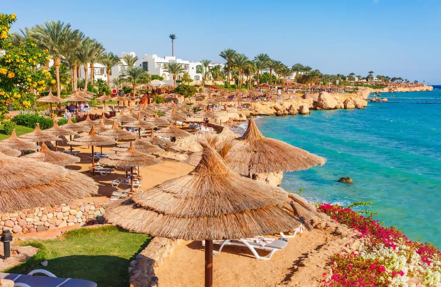 Snorkeling and Diving in Sharm El-Sheikh & Hurghada: Complete Red Sea Guide for 2026 1 Snorkeling and Diving in Sharm El-Sheikh & Hurghada: Complete Red Sea Guide for 2026