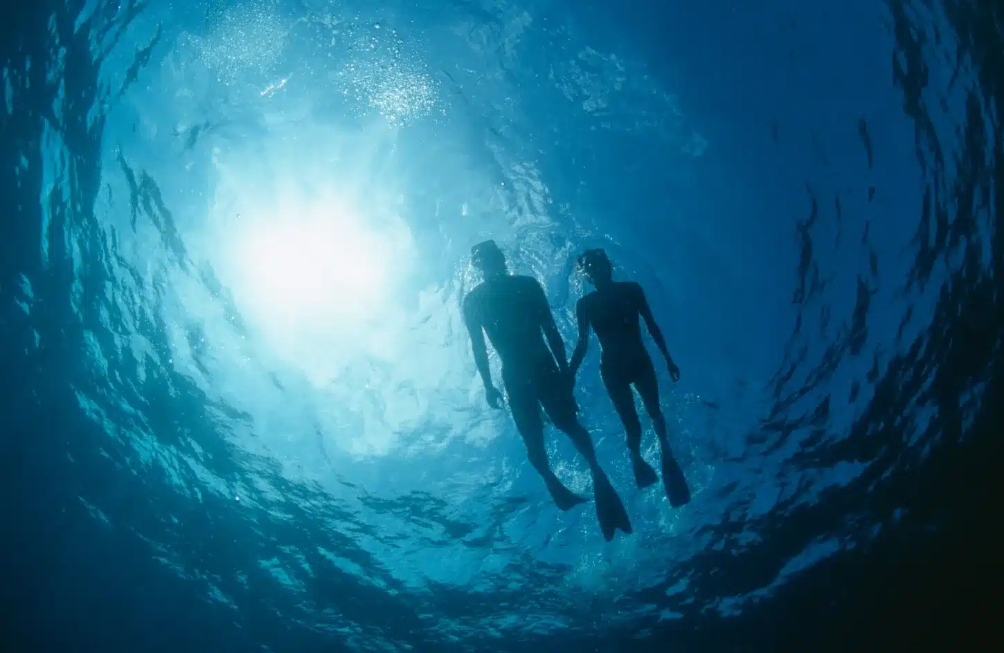 Snorkeling and Diving in Sharm El-Sheikh & Hurghada: Complete Red Sea Guide for 2026 2 Snorkeling and Diving in Sharm El-Sheikh & Hurghada: Complete Red Sea Guide for 2026