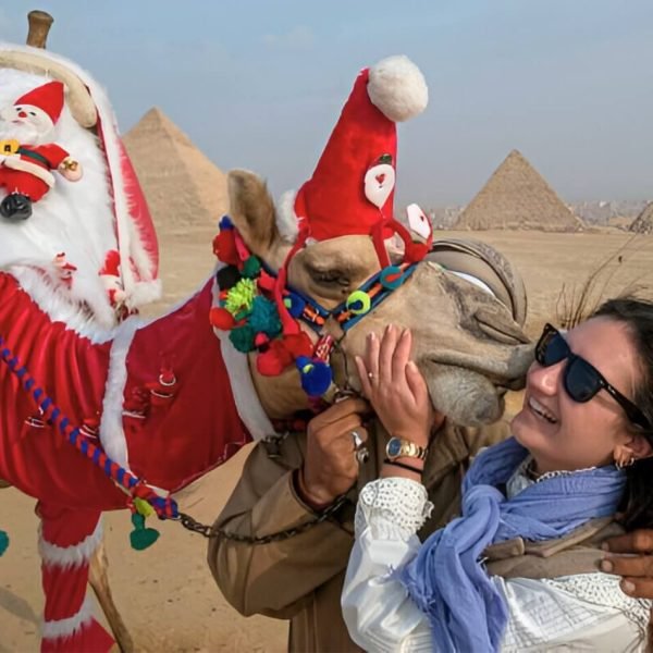 decorated camel in santa outfit sharing a joyful moment with a tourist near the pyramids decorated camel in santa outfit sharing a joyful moment with a tourist near the pyramids