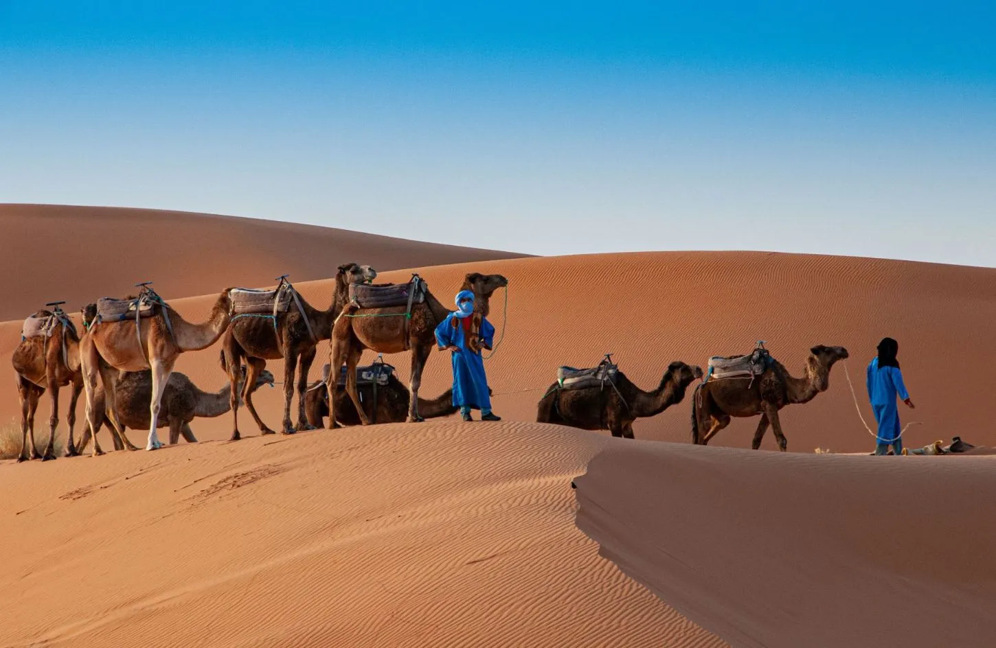 Morocco Eclipse 2027: Wonders of Earth & Sky