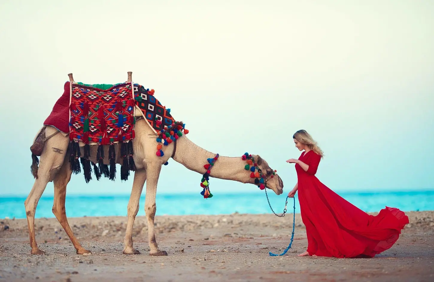 7 Days Egypt Total Solar Eclipse Tour – Cairo & Red Sea